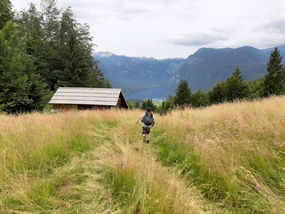 Chalet Pr Dobravc Bohinj Dış mekan fotoğraf