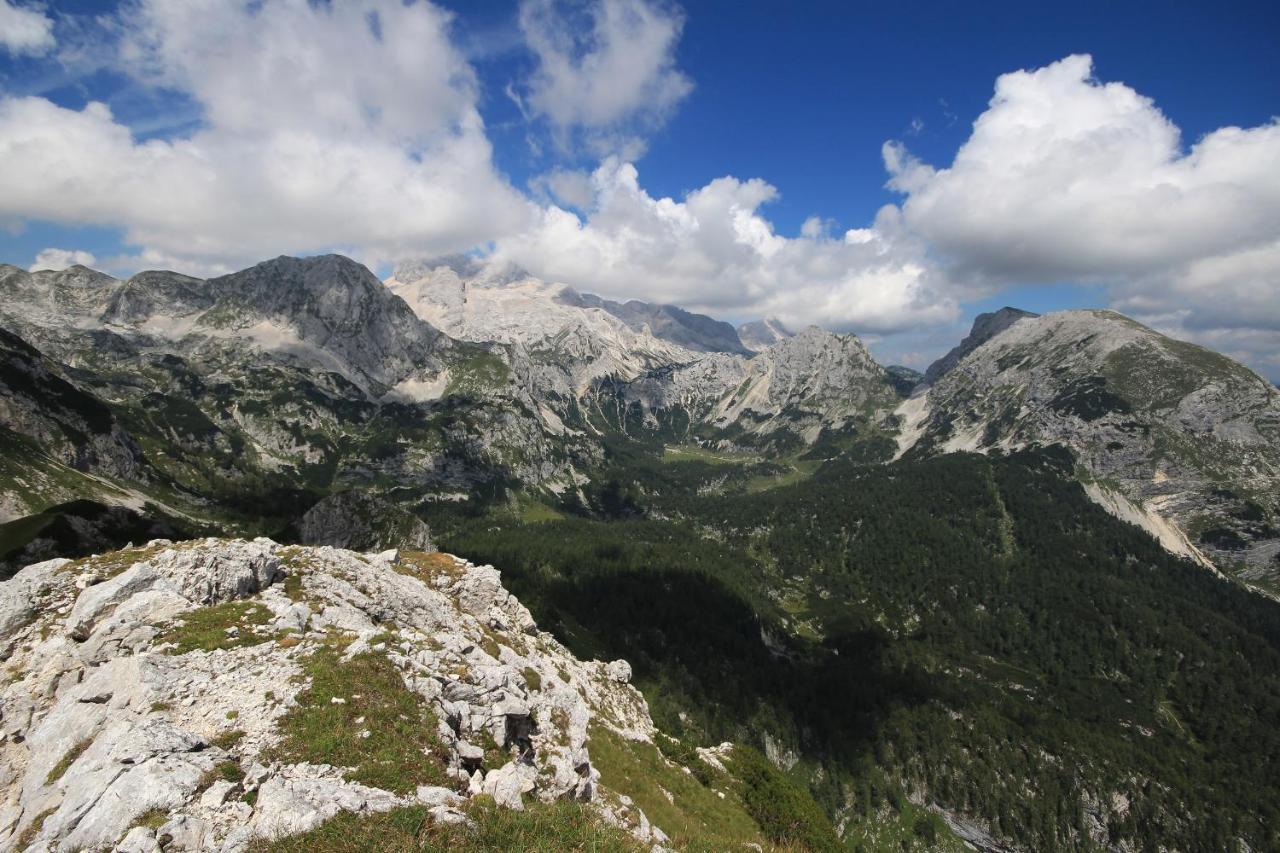 Chalet Pr Dobravc Bohinj Dış mekan fotoğraf