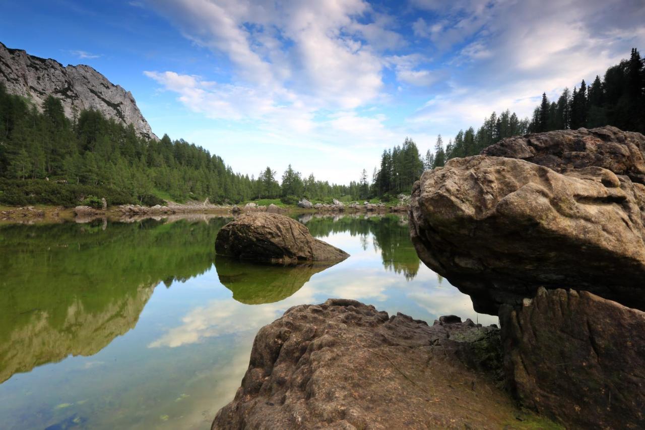 Chalet Pr Dobravc Bohinj Dış mekan fotoğraf